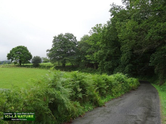 05-hike trail lourdes st jean way