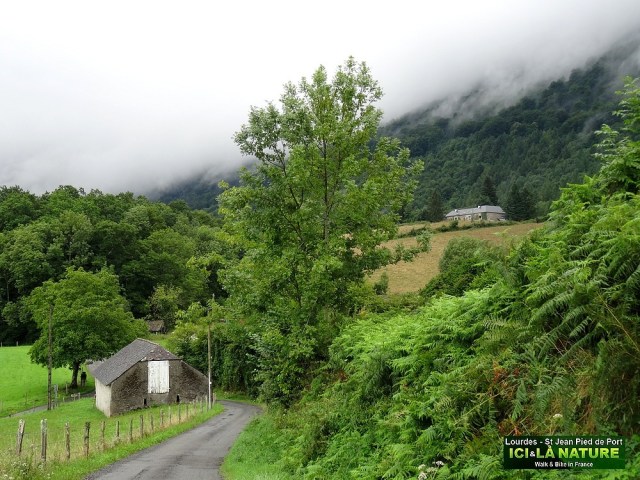 07- lourdes to saint jean pied de port road