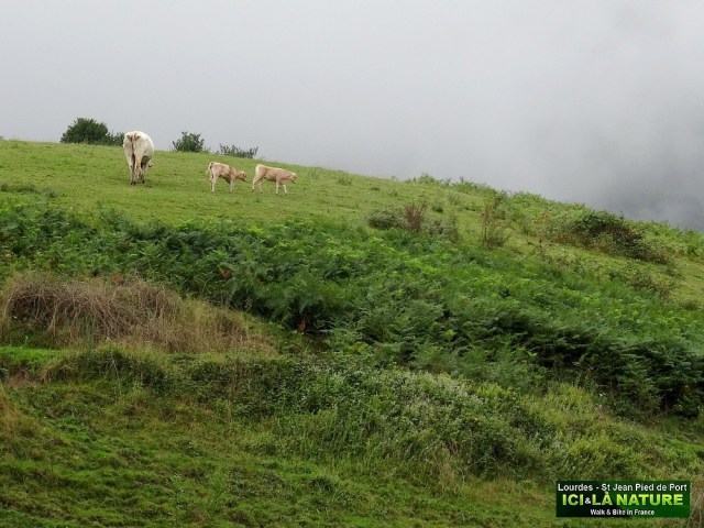 08-hiking trail lourdes saint jean port