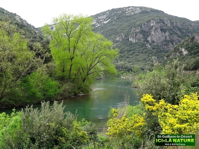 05-WAY OF ARLES VIA TOLOSANA
