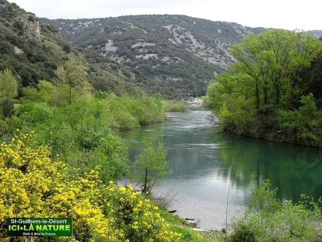 06-WAY OF ARLES CHEMIN ARLES GR 653