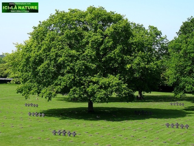 08-garden peace german cemetery 1944 normandy