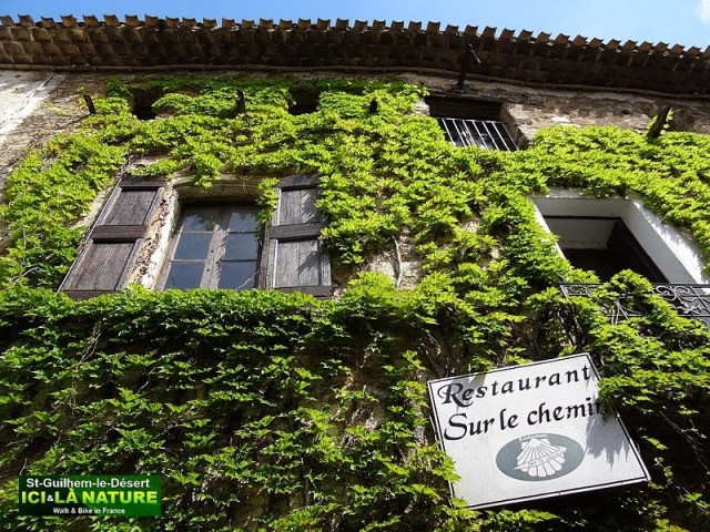 19-RESTAURANT SUR LE CHEMIN ST GUILHEM LE DESERT