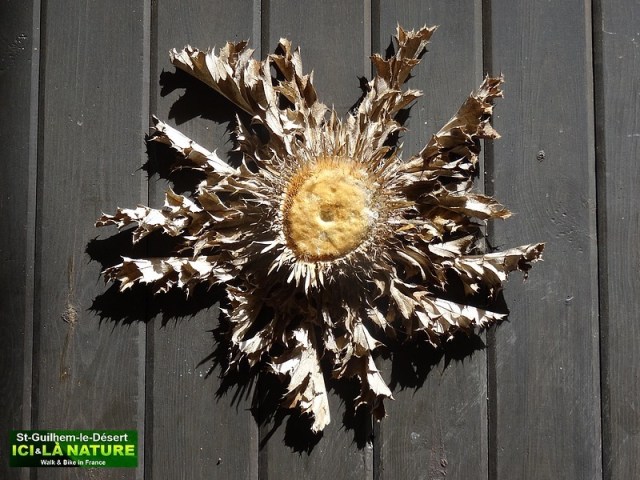 20-ST GUILHEM LE DESERT