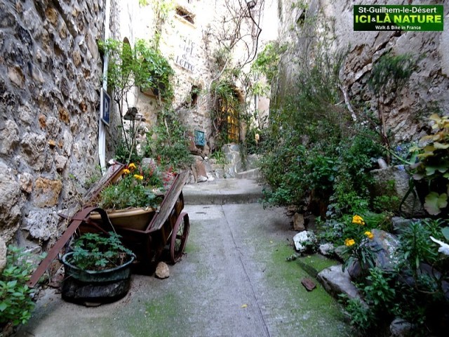 21-SAINT GUILHEM LE DESERT LANGUEDOC