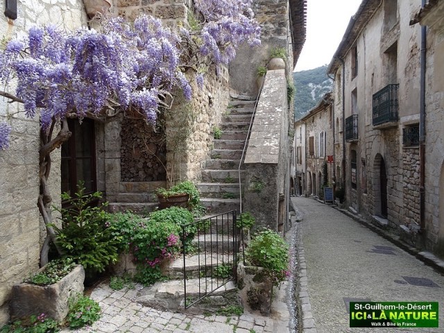 23-PHOTO ROUTE ARLES WAY CAMINO SANTIAGO