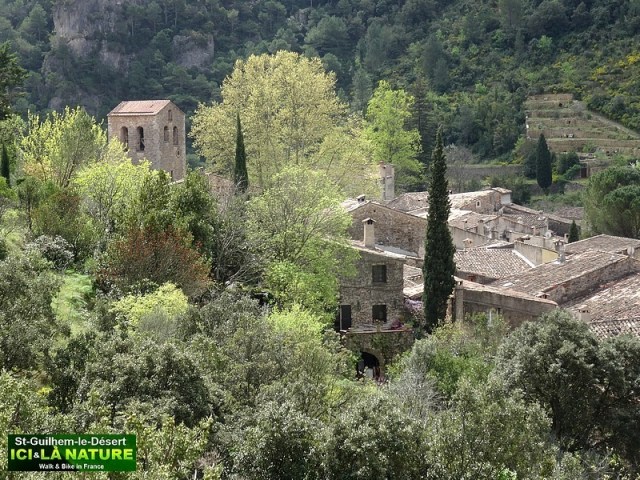 26-CAMINO SANTIAGO SAINT GUILHME LE DESERT
