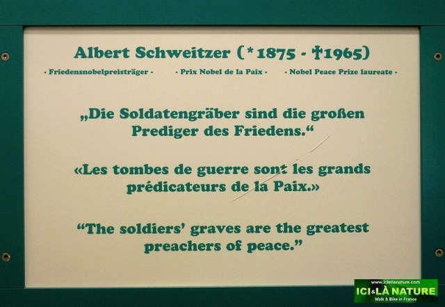 26-schweitzer albert