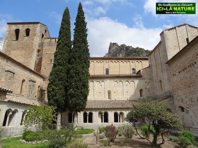 31-ABBAYE SAINT GUILHEM LE DESERT