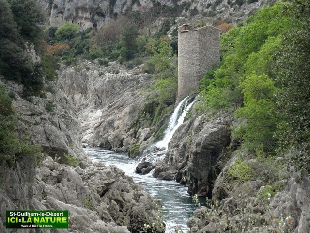 37-THE ARLES ROUTE VIA TOLOSANA