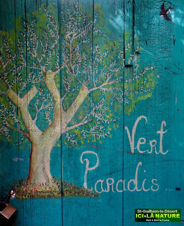 45-GREEN PARADISE PARADIS VERT