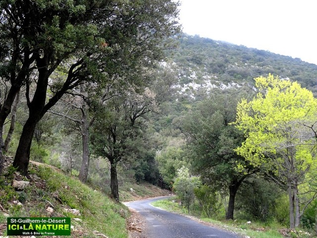 51-st james way via tolosana