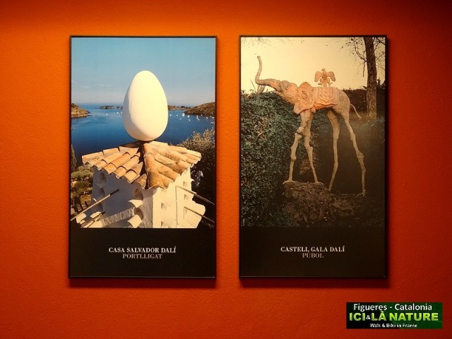 02-dali catalonia port lligat