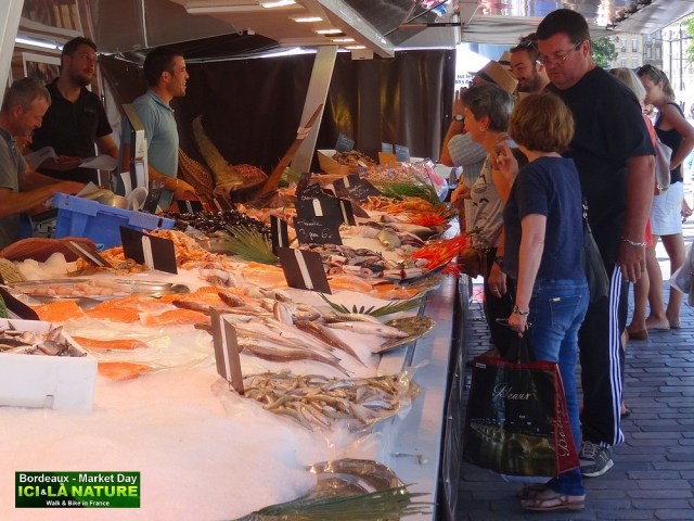 03-BORDEAUX MARKET