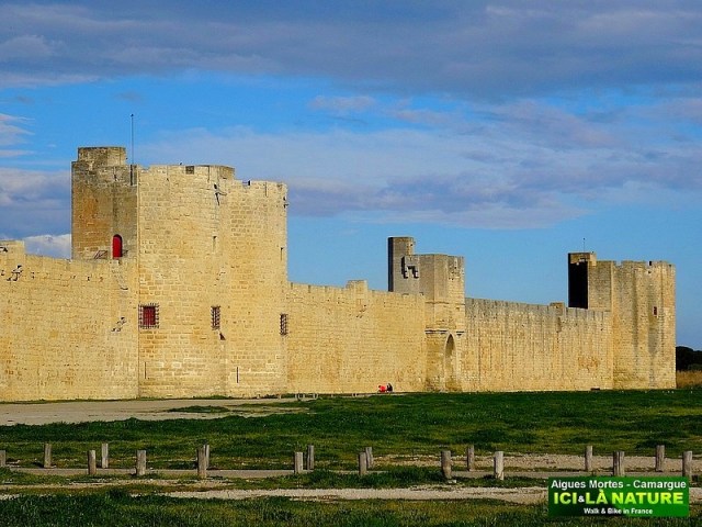 04-BIKING CAMARGUE PROVENCE