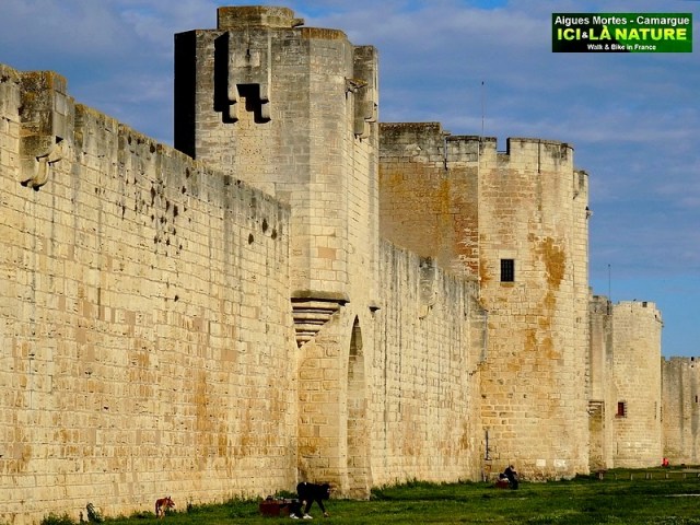 05-CAMARGUE BY CYCLE