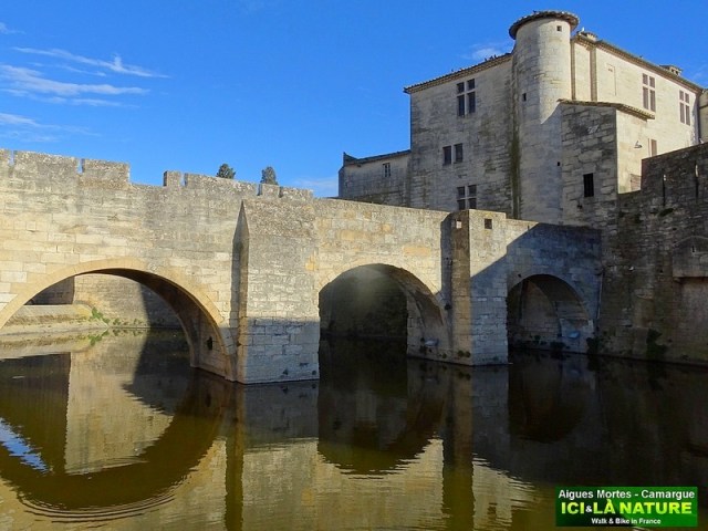 07-CYCLING TRIP PROVENCE CAMARGUE