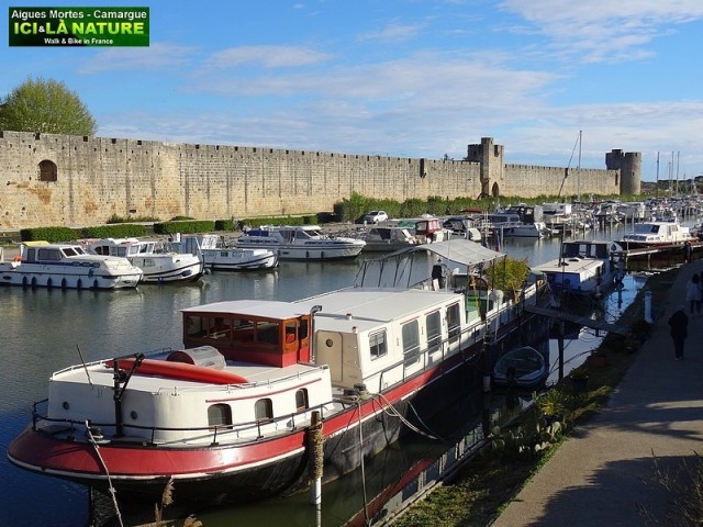 08-AIGUES-MORTES CAMARGUE MEDITERRANEE