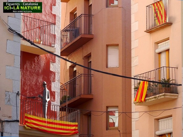 14-salvador dali youth