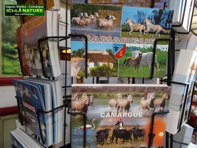 19-photos cards camargue