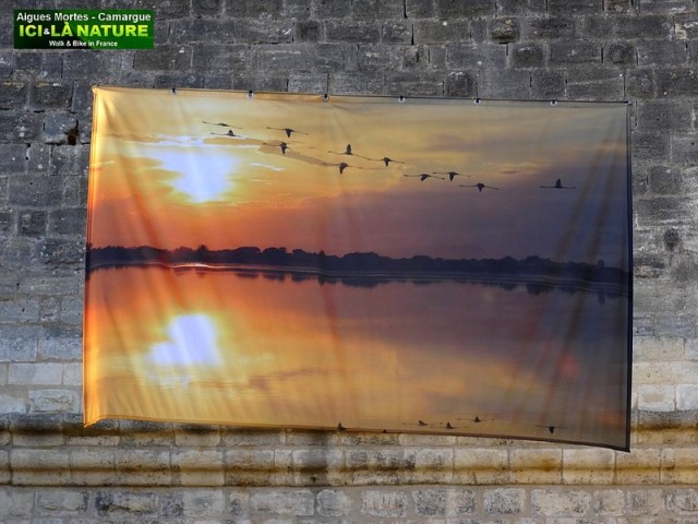 27-france provence camargue tour