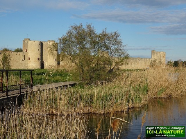 34-france best tours bike provence
