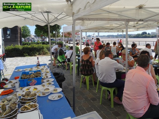36-BORDEAUX MARKET GARONNE RIVER