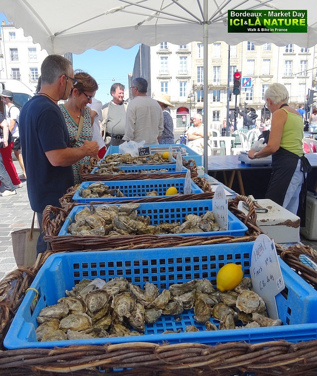 38-MARKET IN BORDEAUX OYSTERS