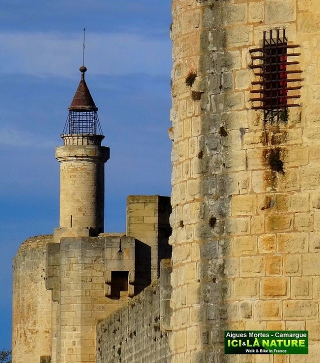 47-AIGUES MORTES