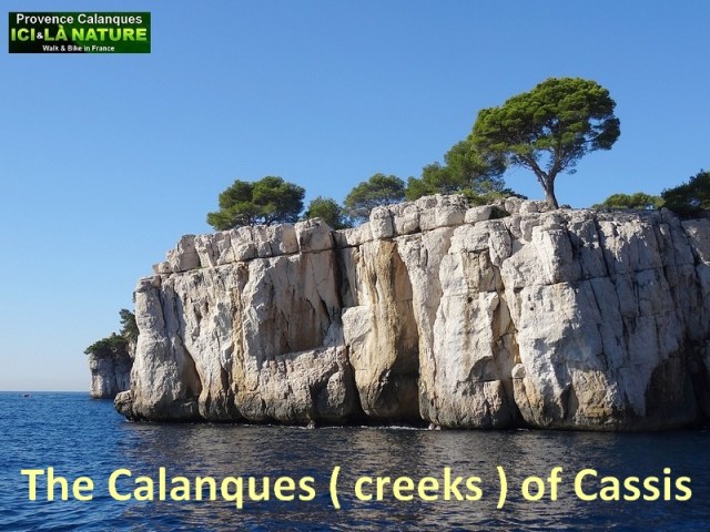 00-provence tour calanques cassis