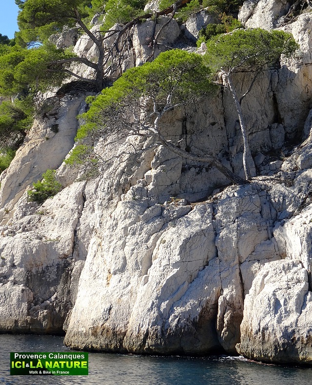 14-rocky coves france provence