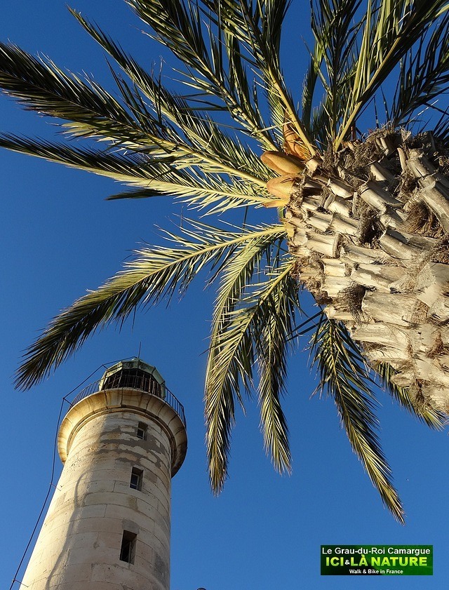 03-hiking-camargue-le-grau-du-roi