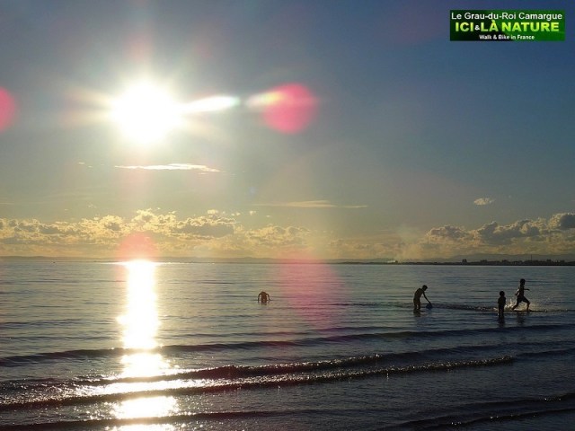 29-bath-in-mediterranean-sea-camargue