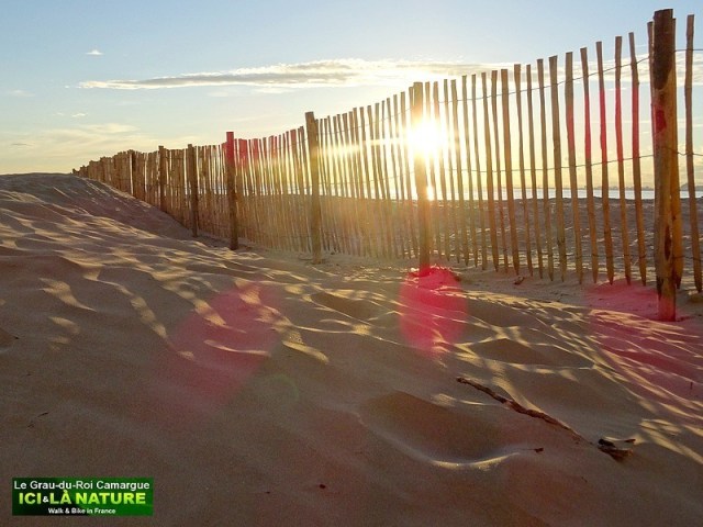 32-soleil-couchant-camargue