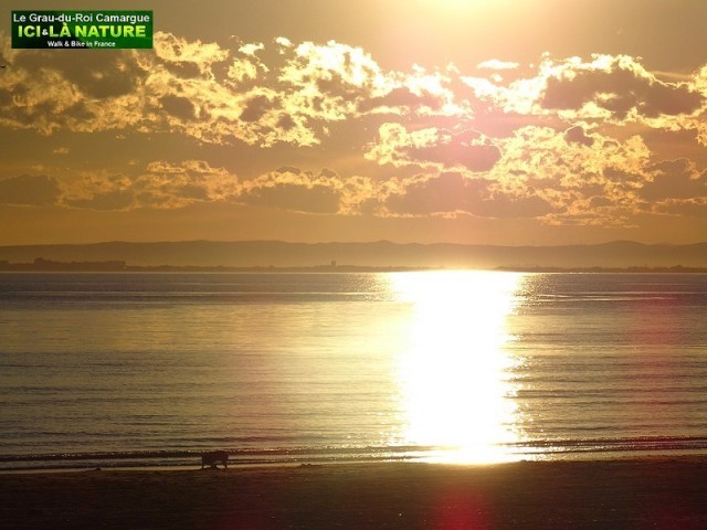 33-camargue-in-france