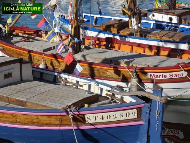 10-biking-tour-canal-du-midi