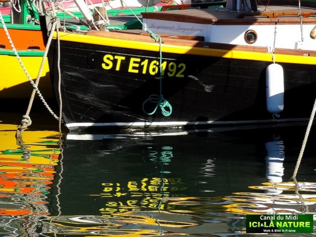 13-biking-canal-du-midi-tour