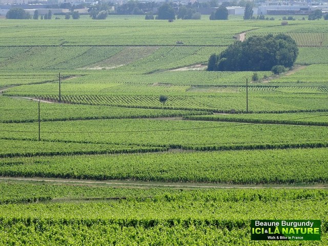 25-biking-tour-in-france-burgundy