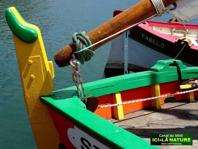 33-biking-canal-du-midi