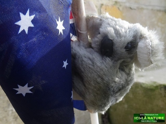 11-australia-during-world-war-1-western-front