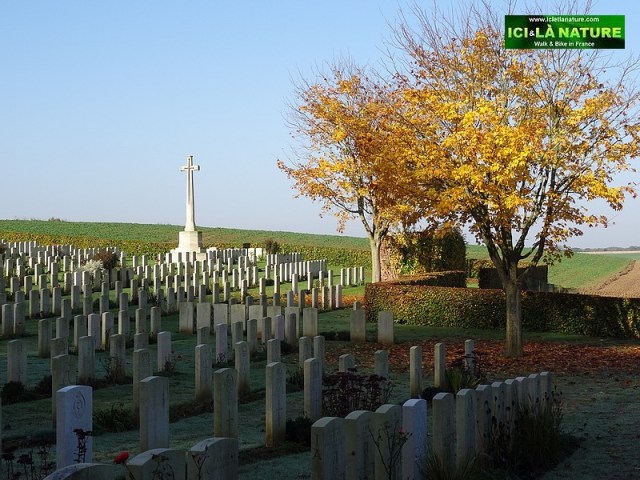 15-great-britain-during-world-war-1-western-front