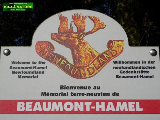 45-canadian-newfounland-memorial-world-war-1