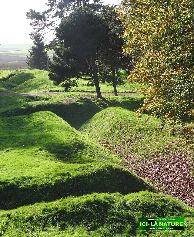 50-newfoundland-in-france-world-war