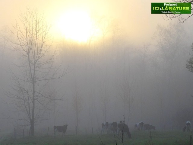 02-walking-holidays-dordogne-france