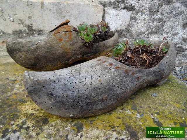 17-hiking-tour-dordogne