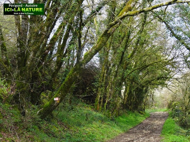 21-walk-tour-perigord-quercy