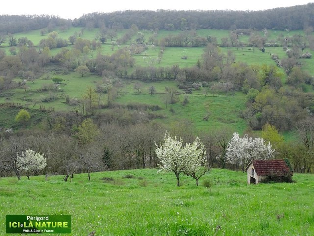 22-perigord-landscape-france