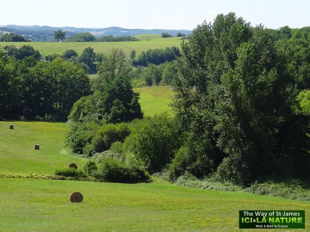28-hiking-camino-santiago-photo