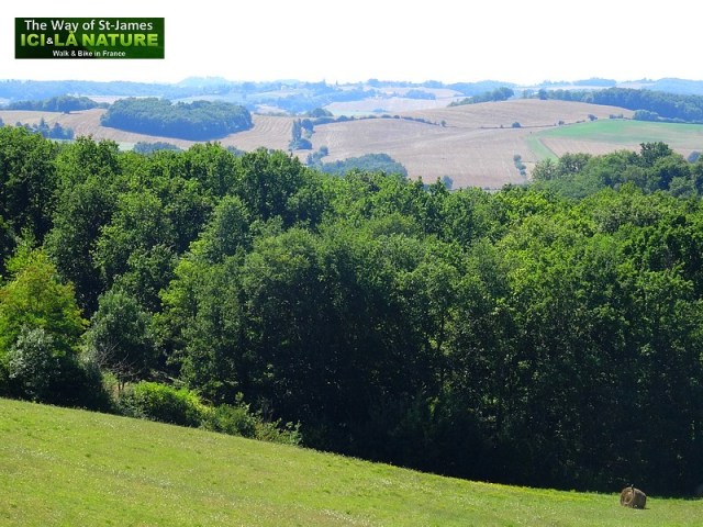 29-way-st-james-france