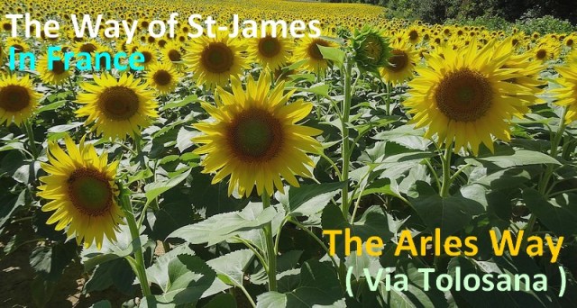 arles-way-st-james-via-tolosana